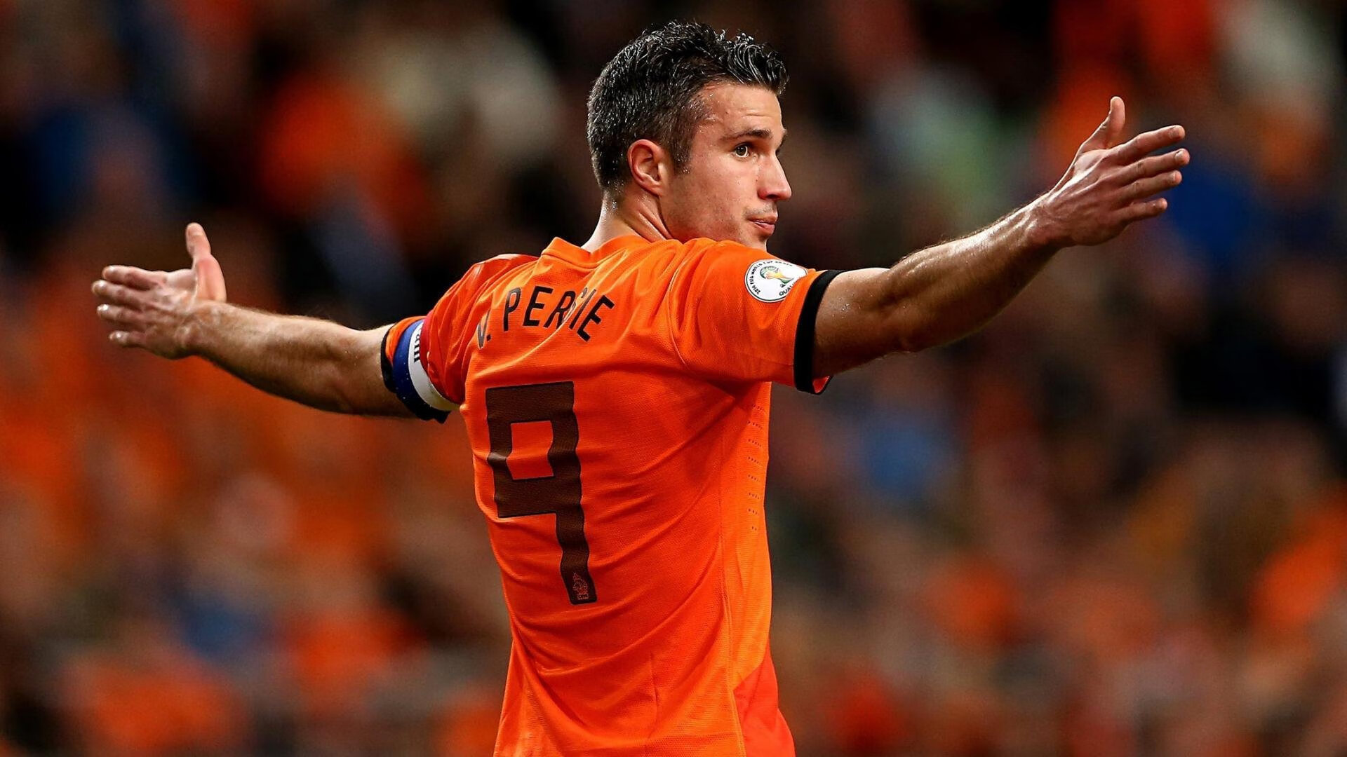 加克波，当荷兰郁金香在南非高原绽放